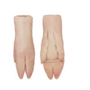 Hind Feet